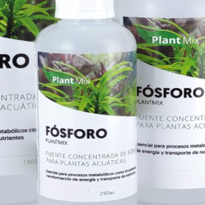 fosforo