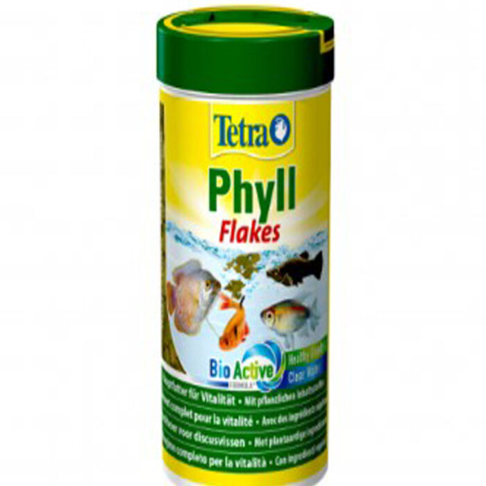phyll
