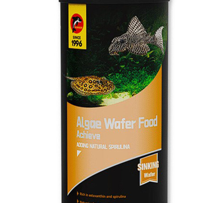 algae