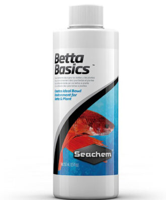 Betta Basics