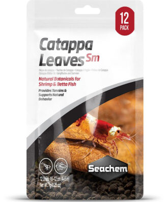 Catappa Leaves