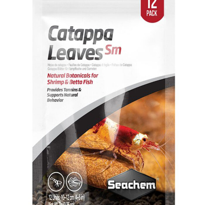catppa leaves