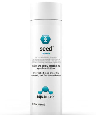 Seed