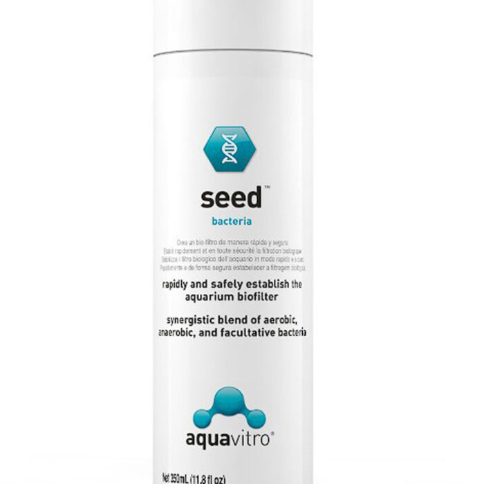 seed
