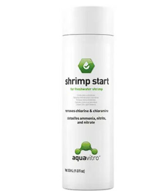 Shrimp Start